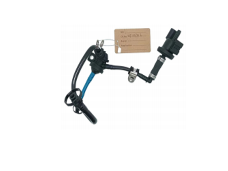 06F133781L Solenoidinis vožtuvas